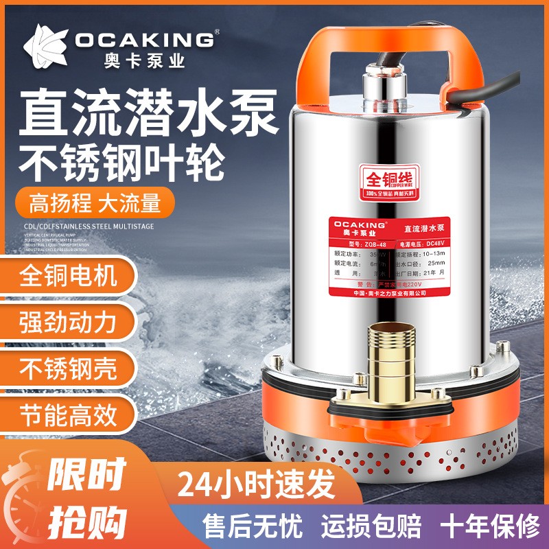 直流潜水泵12V24V48V60V家用电瓶车抽水泵小型电动农用灌溉抽水机图4