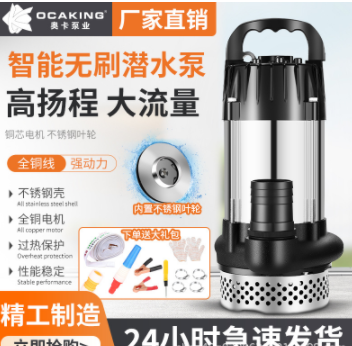 无刷直流潜水泵高扬程48V60V72V伏通用电动车电瓶车抽水泵抽水机