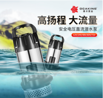 无刷直流潜水泵高扬程48V60V72V伏通用电动车电瓶车抽水泵抽水机图2