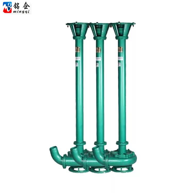 NL立式泥浆泵22KW 养殖场化粪池专用耐磨杆泵 液下污水泥浆排污泵图4