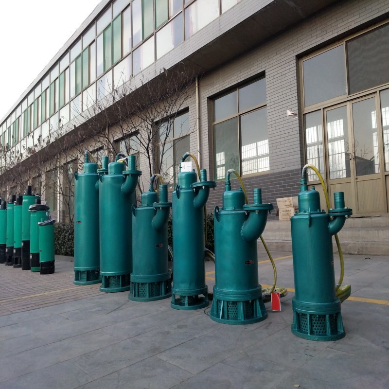 加工定制304不锈钢BQS矿用隔爆型潜水排沙电泵图3