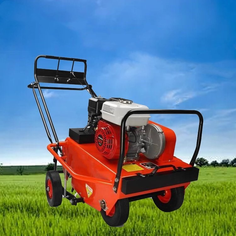 草坪养护打孔机 园林草地透气钻孔机 草地透气打眼机图5