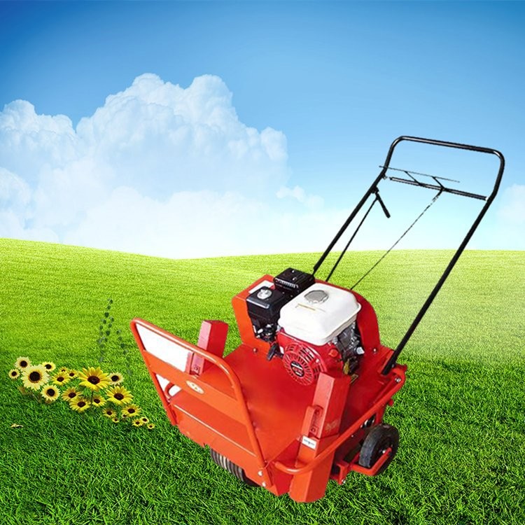 草坪养护打孔机 园林草地透气钻孔机 草地透气打眼机图4