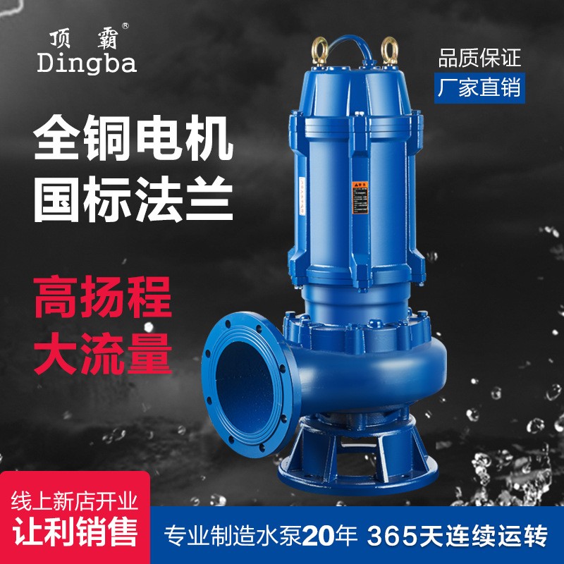 厂家供应立式潜水泵220V380V工程处理污水泵无堵塞工业排污离心泵图2