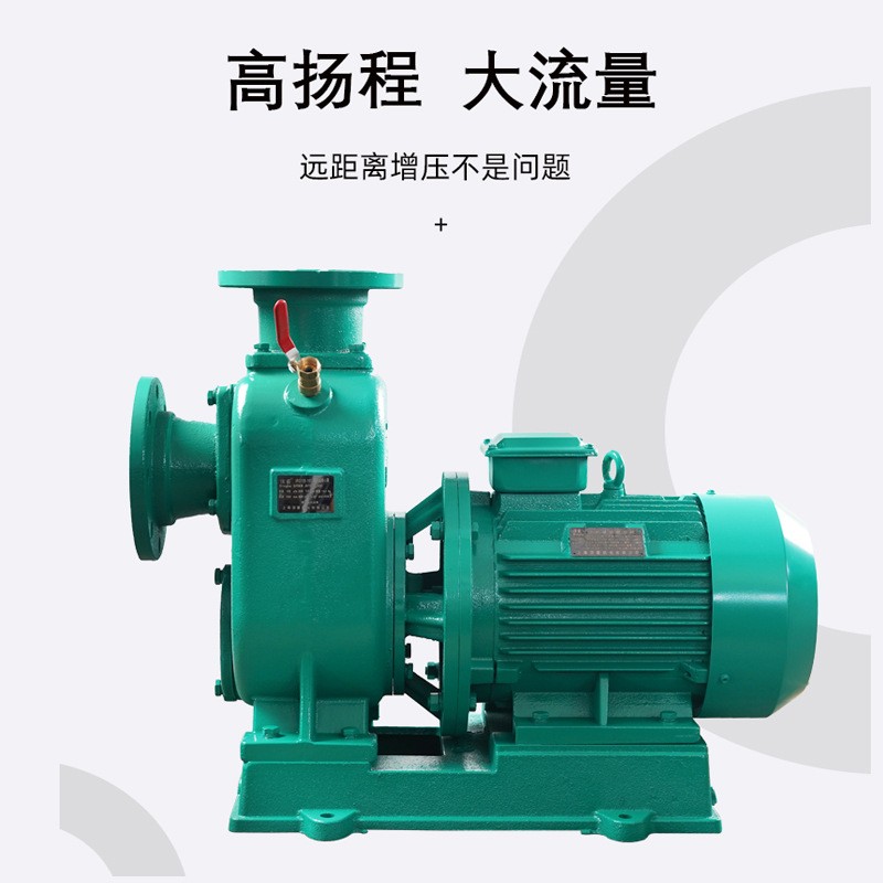 厂家供应zw自吸泵 无堵塞自吸排污泵清水泵不锈钢污水泵bz离心泵图3
