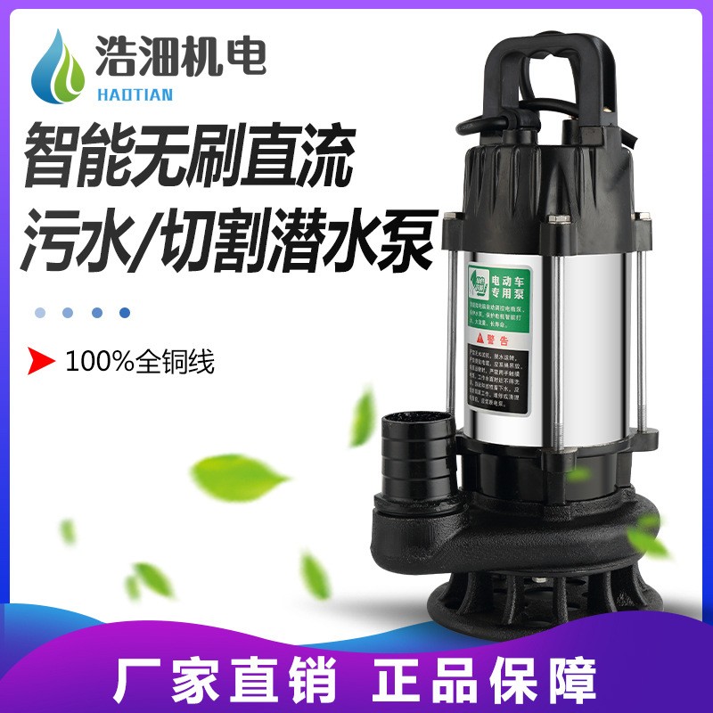 浩沺厂家直销化粪沼气池排污泵1寸1.5寸48-72v高扬程潜水泵污水泵