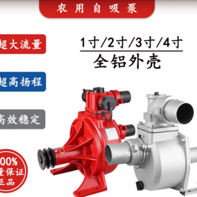 浩沺厂家直销2寸高压自吸滴灌泵高扬程抽水机农田灌溉抽海水拖泵