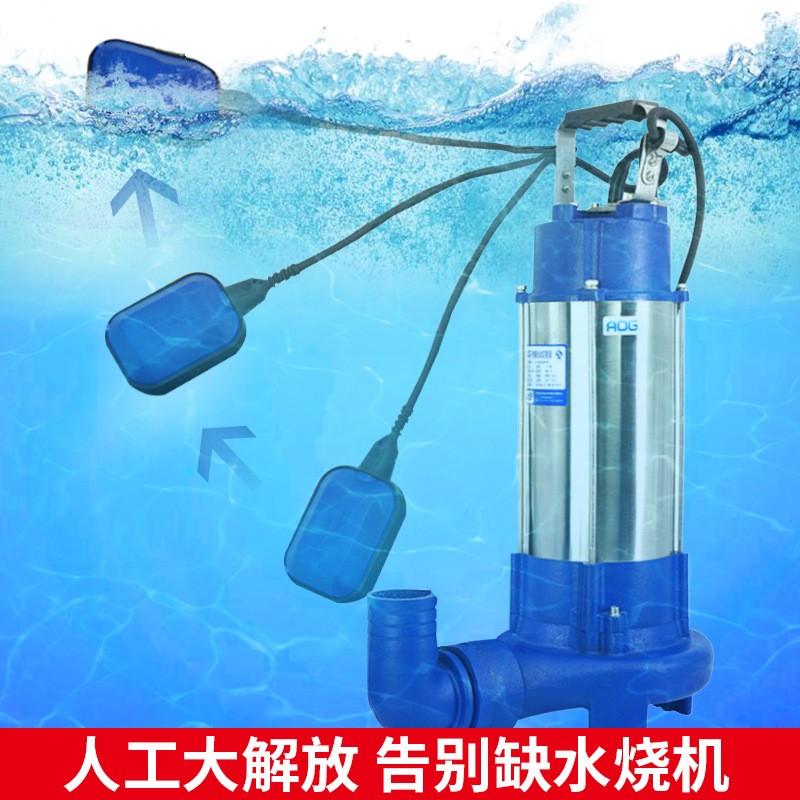 180W250W370W全自动小型污水泵不锈钢家用浇水农田灌溉井用抽水泵图2