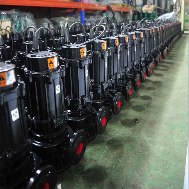 自动搅匀排污泵50JYWQ10-12-1.1kw厂家直销国标全铜电机全铜电线图2