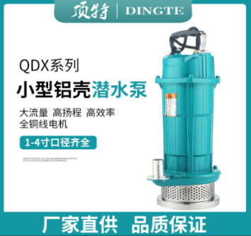 QDX家用小型潜水泵单相220V农用灌溉抽水泵潜水泵高扬程大流量图2