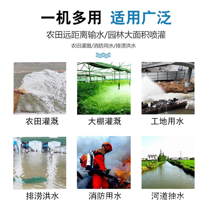 QDX家用小型潜水泵单相220V农用灌溉抽水泵潜水泵高扬程大流量图5