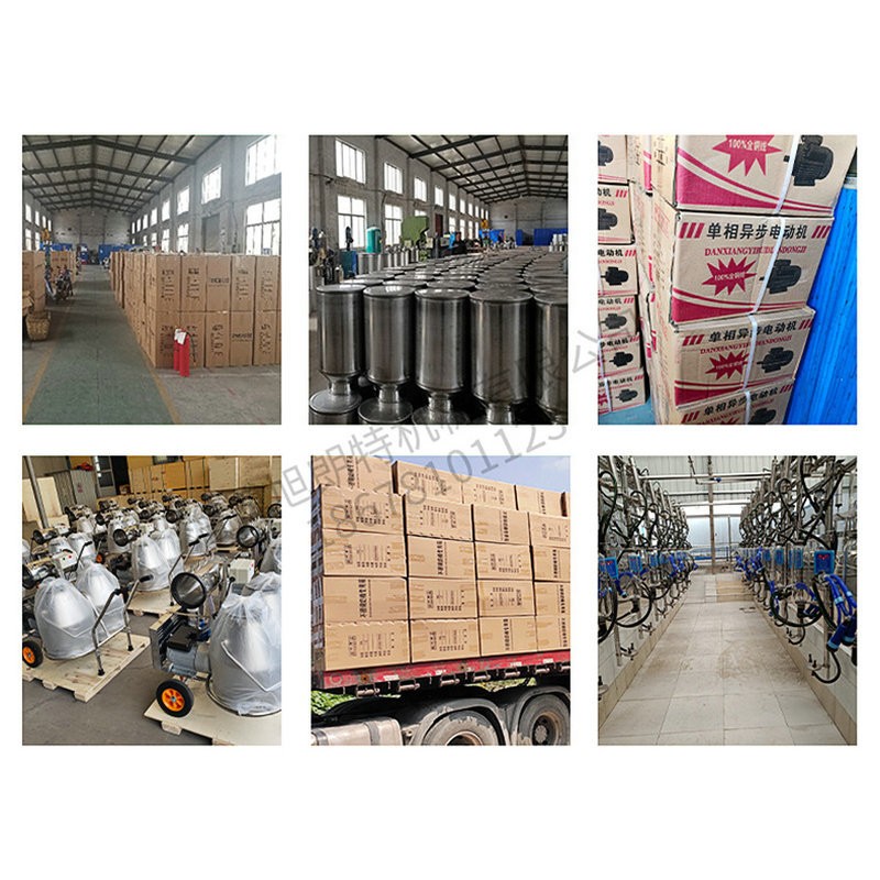 挤奶机家用电动挤奶机 厂家现货供应活塞式挤奶机 脉动式挤奶机图5