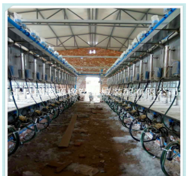奶厅挤奶设备 自动奶牛挤奶机 鱼骨式挤奶机 挤奶机配件图2