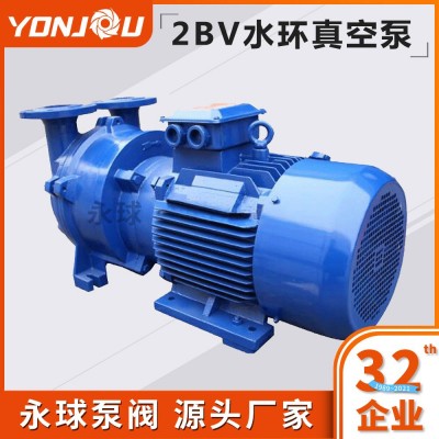 2BV水环式真空泵循环水真空泵真空泵机组厂家直销