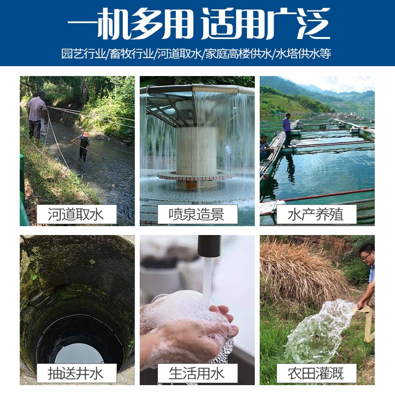 QD多级潜水泵高扬程深井油浸式清水泵小老鼠农用灌溉大流量抽水泵图5