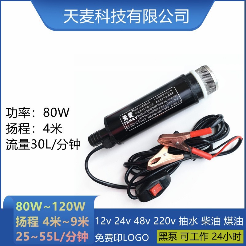 Temay潜水24v摩托车抽水泵加油器微型电动抽水抽油泵12v直流水泵图2