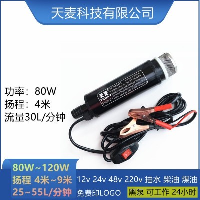 Temay潜水24v摩托车抽水泵加油器微型电动抽水抽油泵12v直流水泵