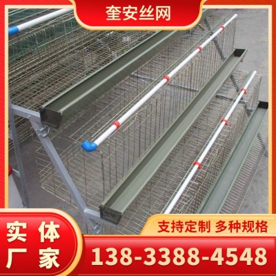 热镀锌笼具 肉鸡笼 三层两门立体式肉鸡笼 育雏笼农牧鸡笼 厂家