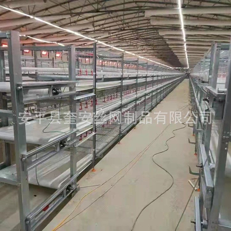 热镀锌笼具 肉鸡笼 三层两门立体式肉鸡笼 育雏笼农牧鸡笼 厂家图2