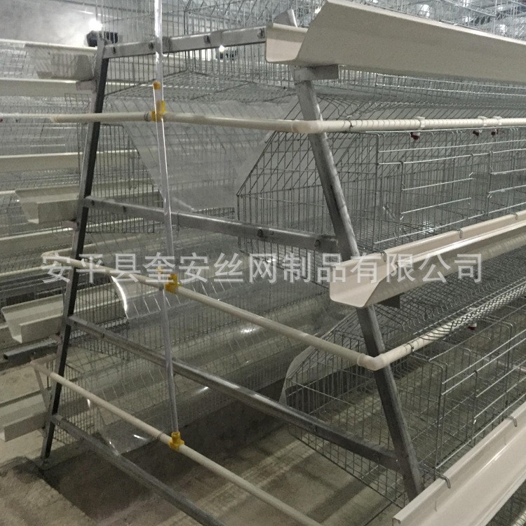 小层叠蛋鸡养殖笼 立体式阶梯式蛋鸡笼 养殖场三层四层设备育雏笼图5