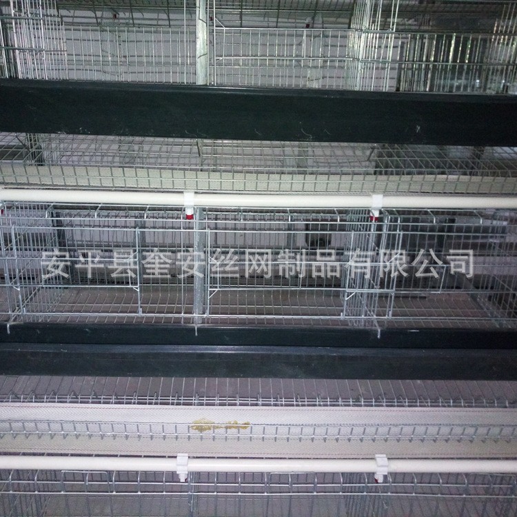 小层叠蛋鸡养殖笼 立体式阶梯式蛋鸡笼 养殖场三层四层设备育雏笼图3