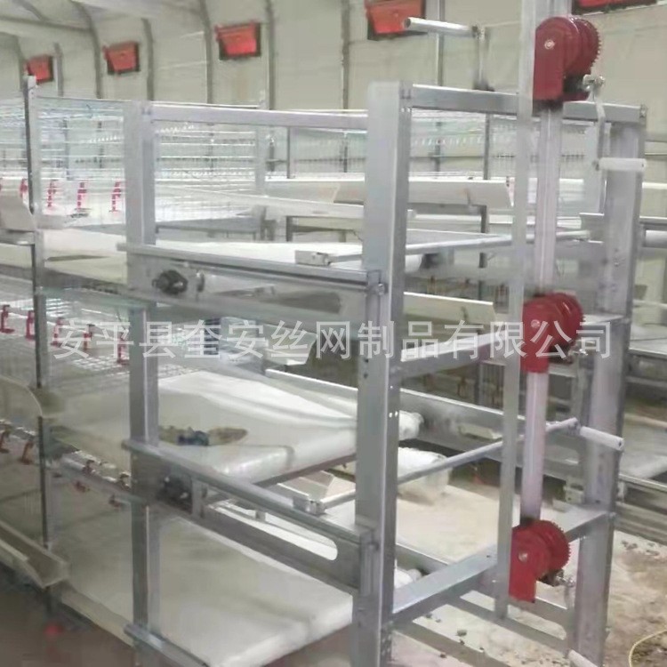 笼具 层叠式肉鸡笼 鸡笼全套设备 三层两门立体式肉鸡笼 厂家现货图2