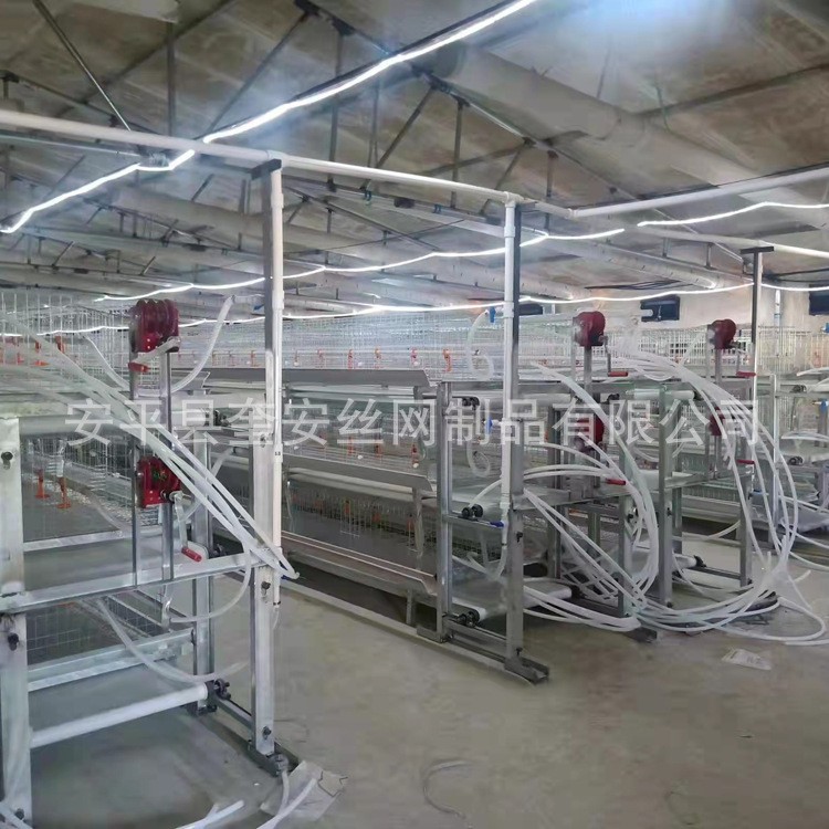 笼具 层叠式肉鸡笼 鸡笼全套设备 三层两门立体式肉鸡笼 厂家现货图3