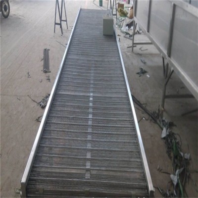 食品烘干饮料冷却耐高温防锈耐腐蚀不锈钢304网带输送机输送平稳