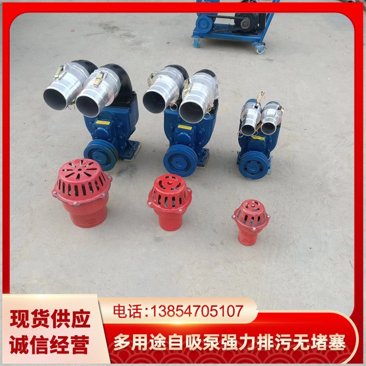 手推式吸粪机养殖场化粪池吸污泵自吸抽沙泵抽粪泵泥浆污水泵图4