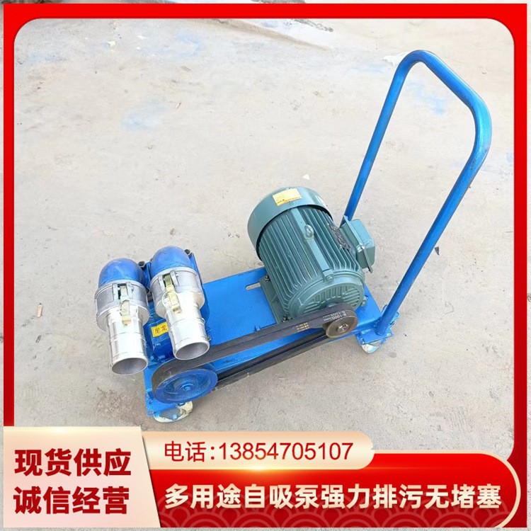 手推式吸粪机养殖场化粪池吸污泵自吸抽沙泵抽粪泵泥浆污水泵图3