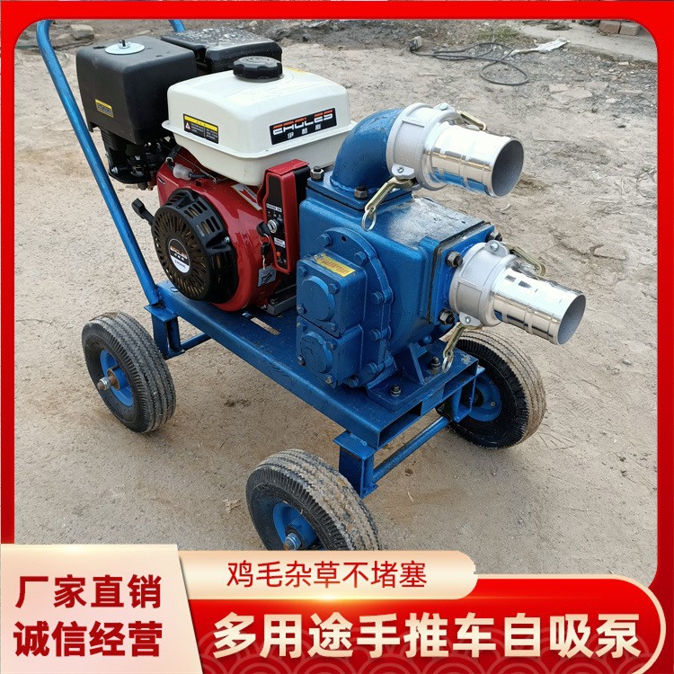 电动吸粪泵批发 齿轮抽粪泵 养殖场大功率抽粪吸粪泵 手推吸粪泵图2