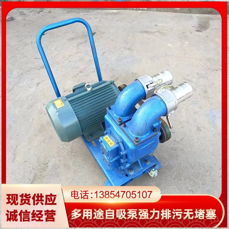 电动吸粪泵批发 齿轮抽粪泵 养殖场大功率抽粪吸粪泵 手推吸粪泵图3
