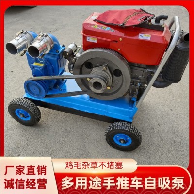 电动吸粪泵批发 齿轮抽粪泵 养殖场大功率抽粪吸粪泵 手推吸粪泵