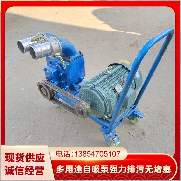 厂家出售吸粪泵 吸污泵养殖场吸粪泵手推式电机带抽粪泵 排污泵图2