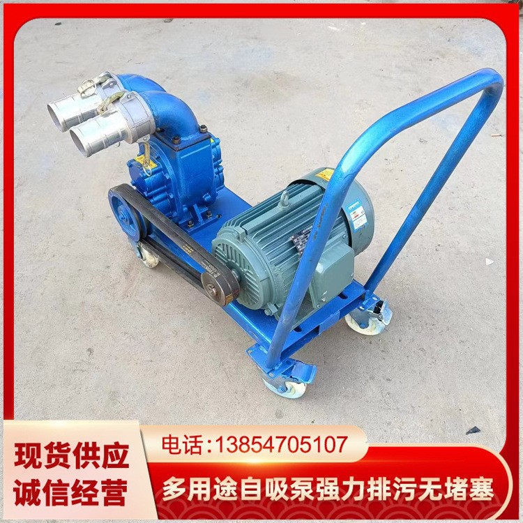 厂家出售吸粪泵 吸污泵养殖场吸粪泵手推式电机带抽粪泵 排污泵图4