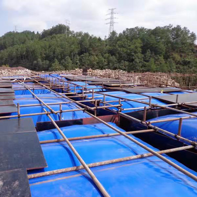 厂家供应运输储水袋 抗旱应急水囊液袋 软体可折叠蓄水容器图2