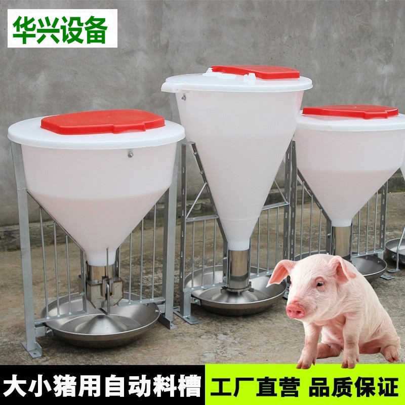 猪料槽不锈钢育肥料槽猪用自动下料器双面干湿料桶自由采食猪食槽图2