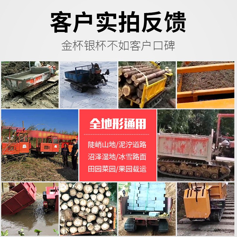 爬山虎运输车柴油四不像爬坡王小型全地形手推式农用履带运输车图3