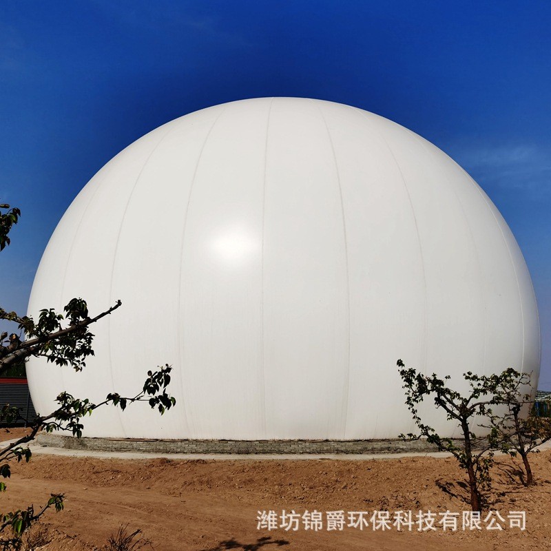 双膜储气柜 红泥沼气袋 沼气成套设备 球形双模沼气柜图2