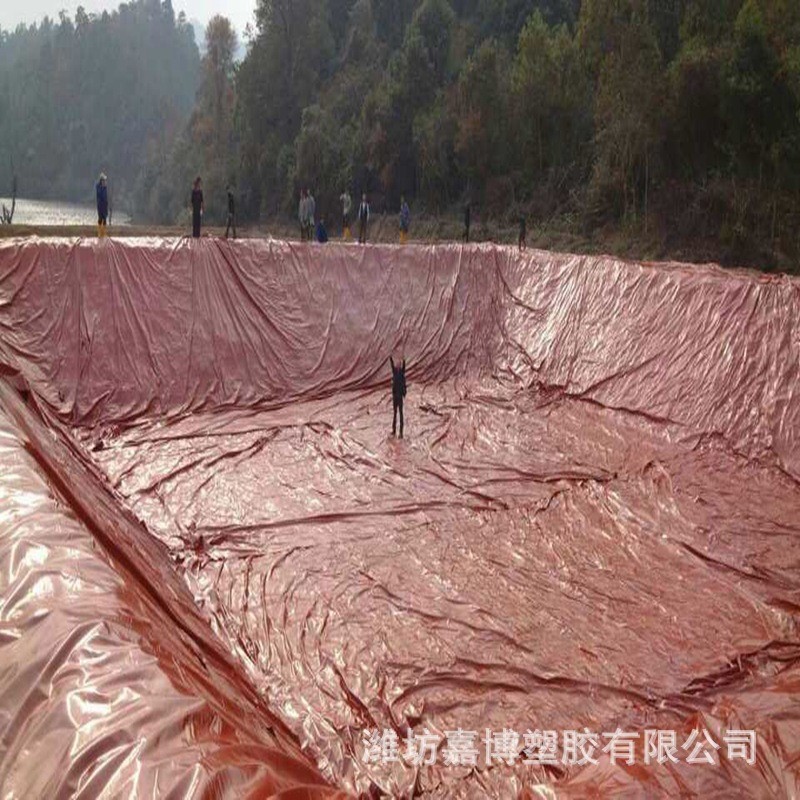 软体沼气袋农用养殖场化粪池发酵储气发酵袋可折叠批发软体沼气池图5