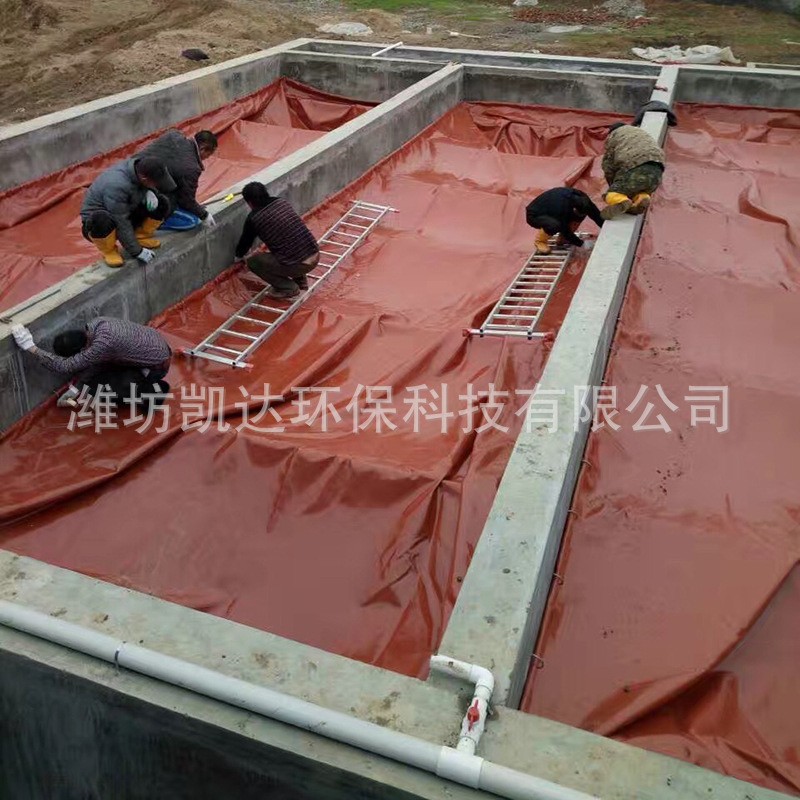 红泥沼气池 农村pvc沼气池 养殖场养猪场大型软体气袋家用图5