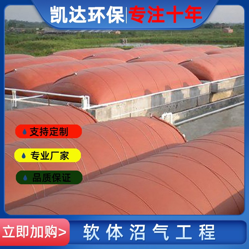 pvc沼气池加厚红泥沼气发酵袋储气袋养殖场软体沼气池液袋油囊图4