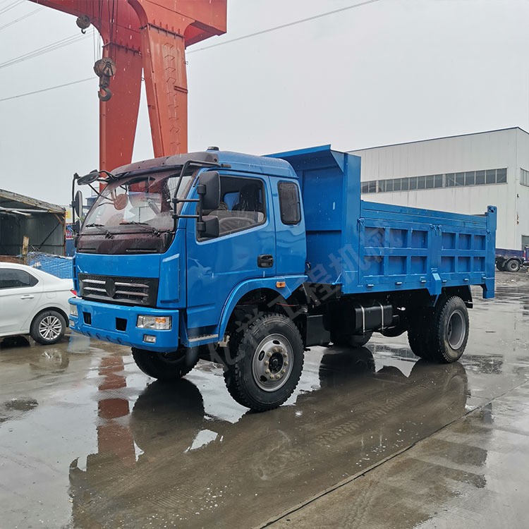 矿用四不像卧铺式平头四驱运输车 农用六轮运输车 工程自卸翻斗车图2