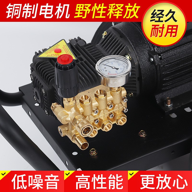 农用大棚专用自动打药高压造雾机 农业手推式打药机 大功率喷雾机图2