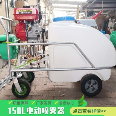 大棚西红柿喷花神器 电动锂电喷花器番茄多功能电动喷花器授粉器