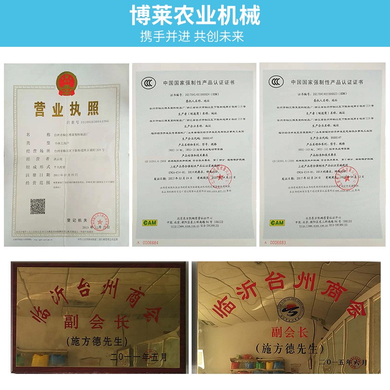 16L现货厂家批发背负式手动打农药消毒农用双管带钢气压式喷雾器图2