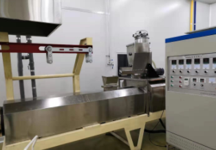 1大连原色虾片 薯片空心薯条胚料生产线图2