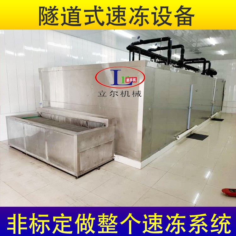冷冻鲜果速冻流水线 移动式速冻机 果蔬速冻加工设备图3