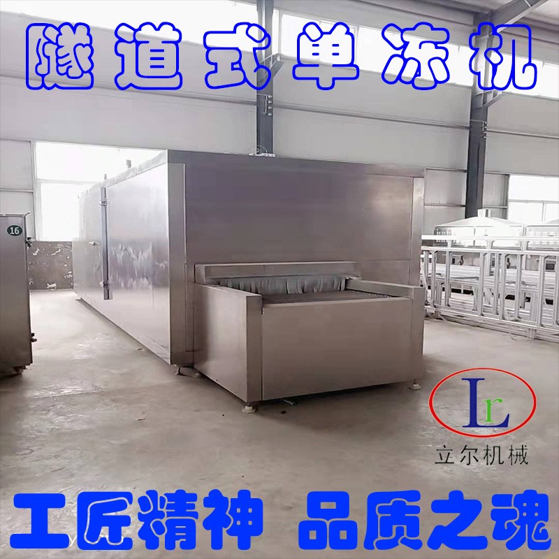 冷冻鲜果速冻流水线 移动式速冻机 果蔬速冻加工设备图4