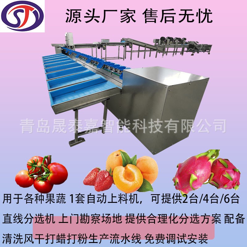 全自动选果机 水果重量分选机 直线滚轮果蔬分级机 源头生产厂家